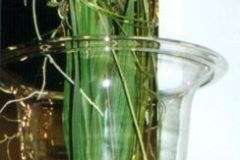 Beispiel: Raumschmuck/Bühnendekoration