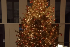 Weihnachten-Christmas-2021-7