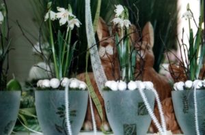 Frühling