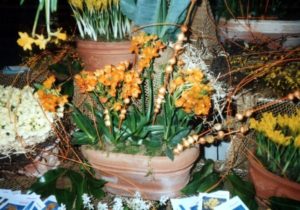 Frühling