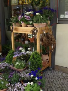 Ladenansicht