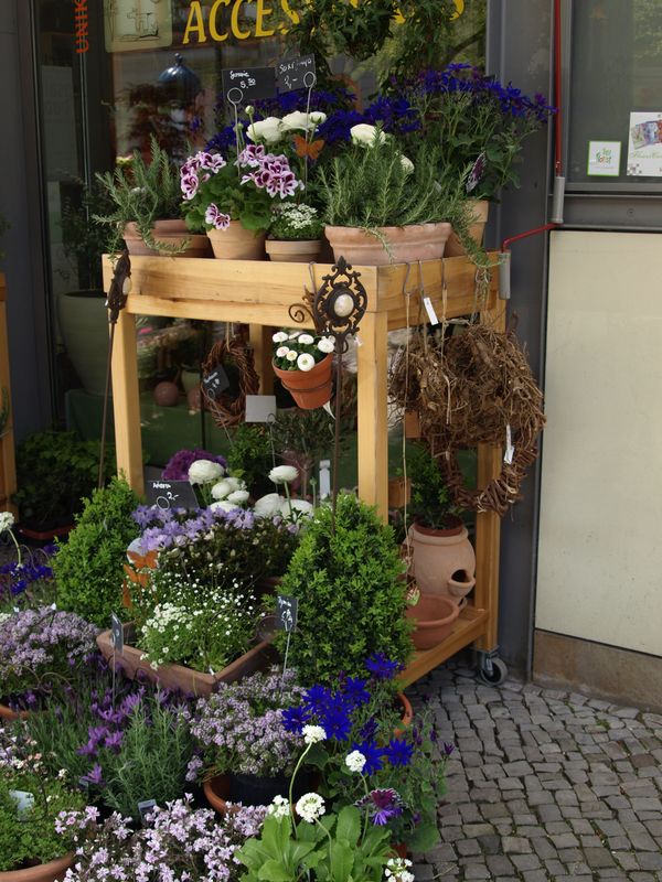 Ladenansicht