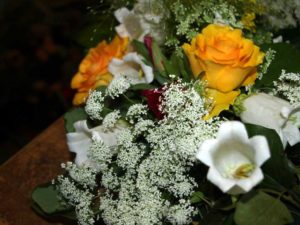 Weltweiter Versand- und Lieferservice - Beispiel