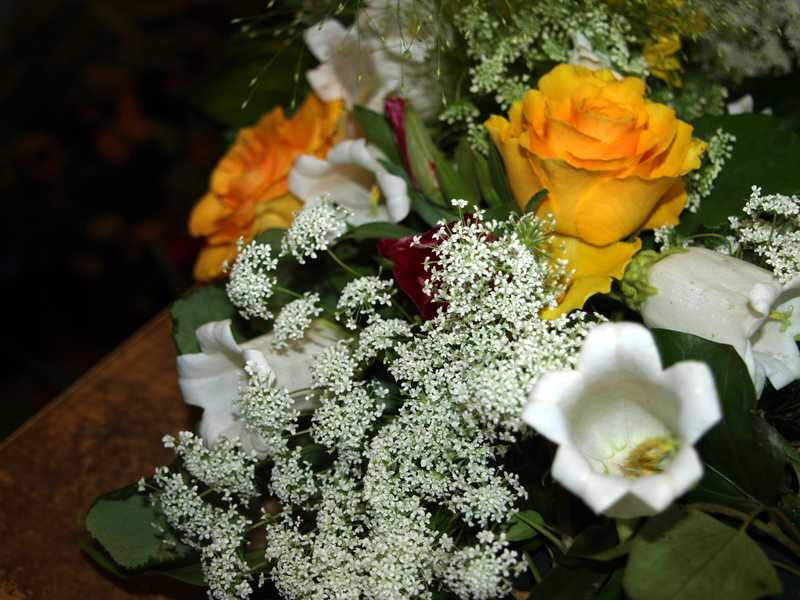 Weltweiter Versand- und Lieferservice - Beispiel