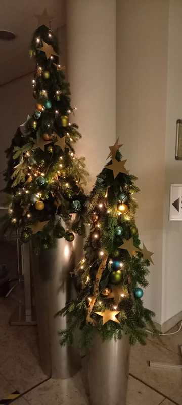 Weihnachtsbäume mit Dekoration und Lichterkette